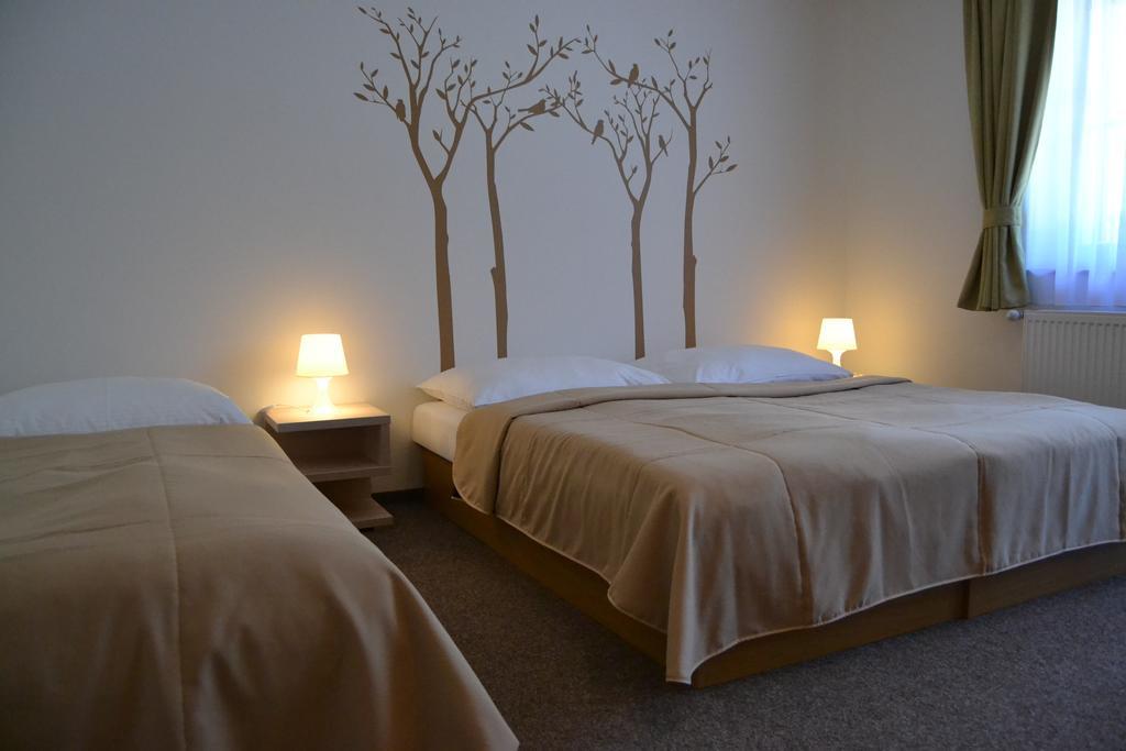 Wellness Hotel Sauna Malá Morávka Værelse billede